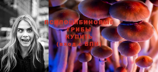 дмт Алексеевка