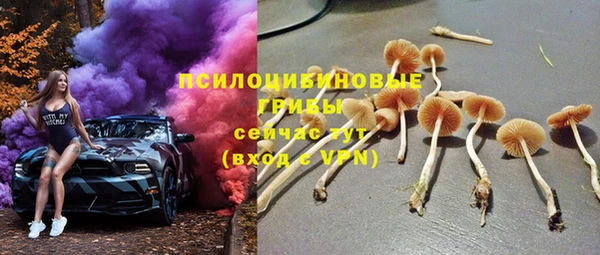 дмт Алексеевка