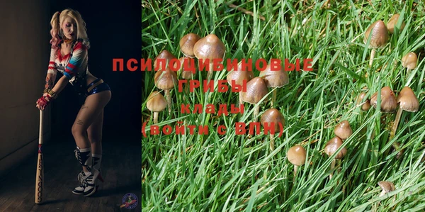метадон Алзамай