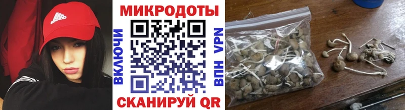 Псилоцибиновые грибы Psilocybe  Тайшет 